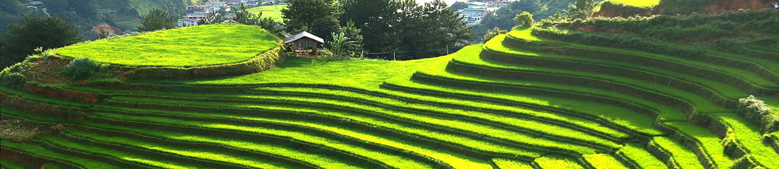 CÙNG TÂN KHANG KHÁM PHÁ VẺ ĐẸP TRUNG HOA